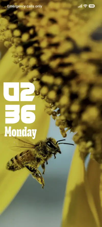 Yellow Bee - Screenshot 1