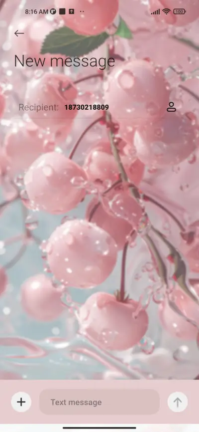 Summer is colorful - Screenshot 8