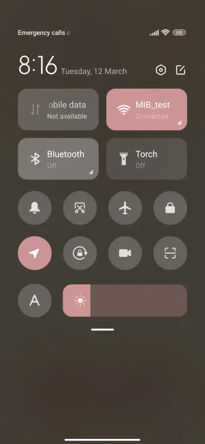 Curly Haired Dog - Screenshot 5