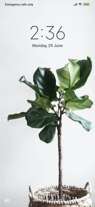 Official MIUI Theme_15 - Screenshot 1