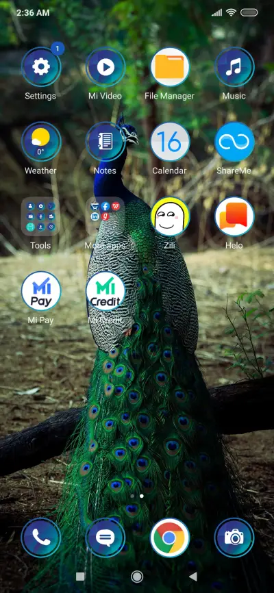 Peacock_3MDS - Screenshot 3