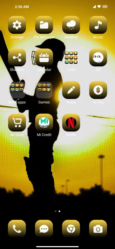 Batsman Cricket - Screenshot 3