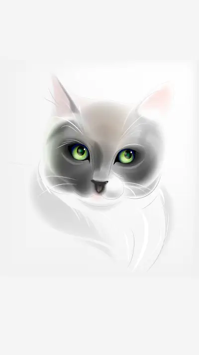 Cute cartoon cat