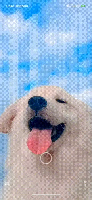 Angel Dog THEME for Xiaomi MIUI HyperOS