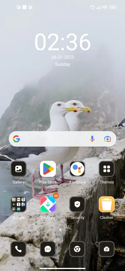 seagull - Screenshot 2