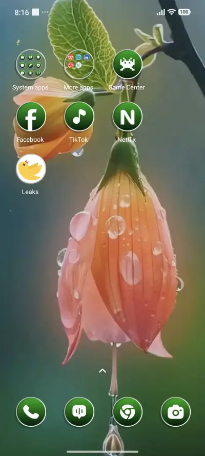 Rain Blossom - Screenshot 3