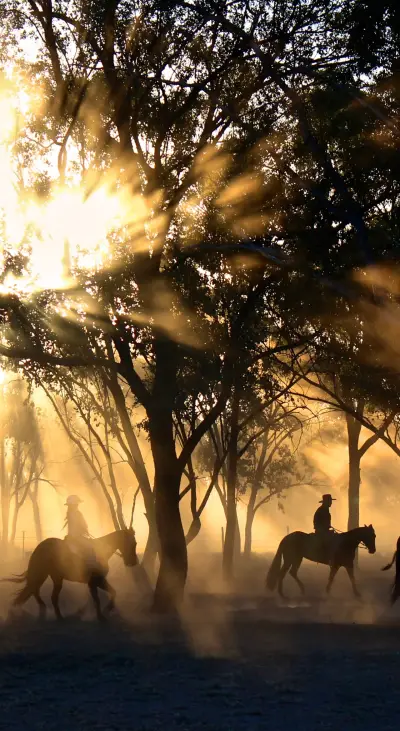 Popular This Week (15)