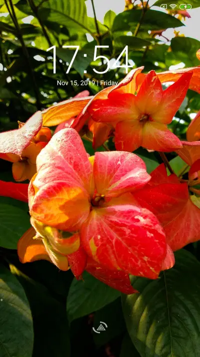 Hibiscus_DWM3 - Screenshot 1
