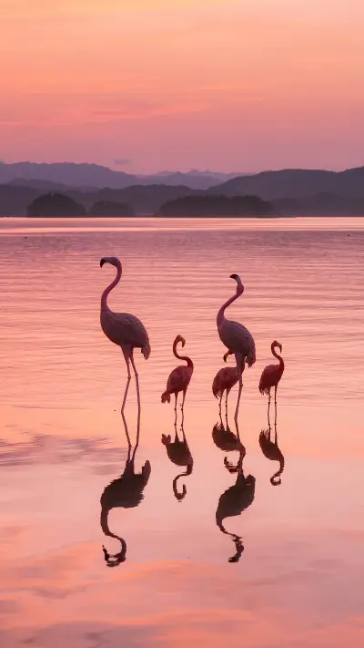 Exploring the wonderland of qianhu island 2