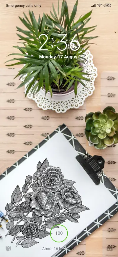 Official MIUI Theme_18 - Screenshot 1