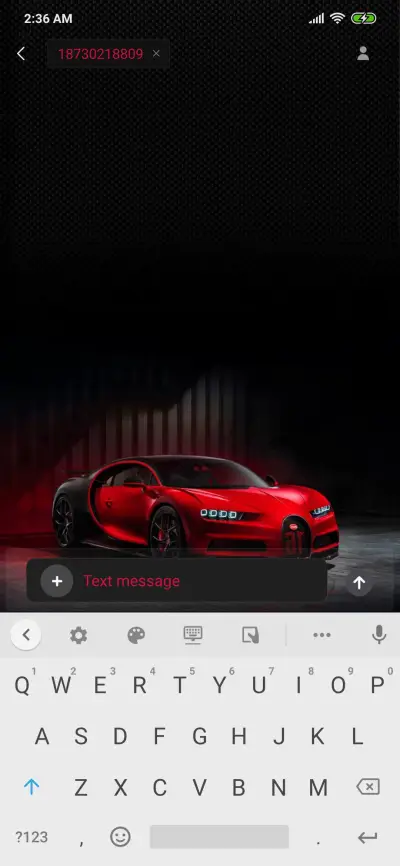 Porsche Klasik - Screenshot 8