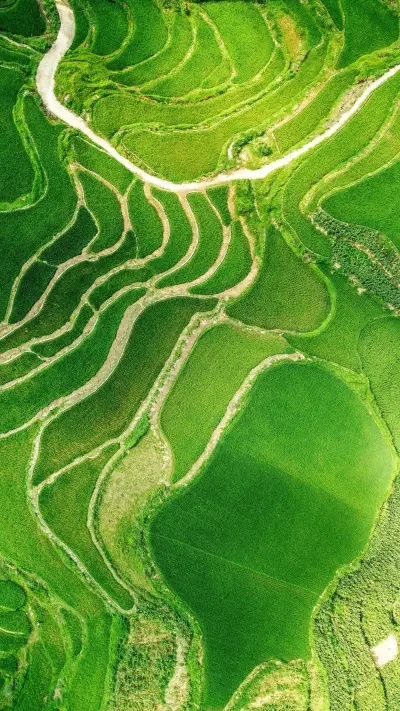 Doing farm work in office buildings