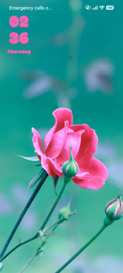 Rose THEME for Xiaomi MIUI HyperOS