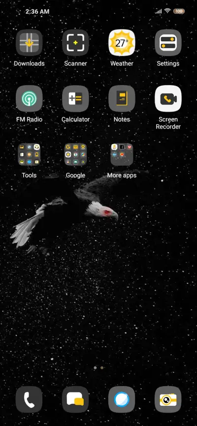 Starry Eagle - Screenshot 3