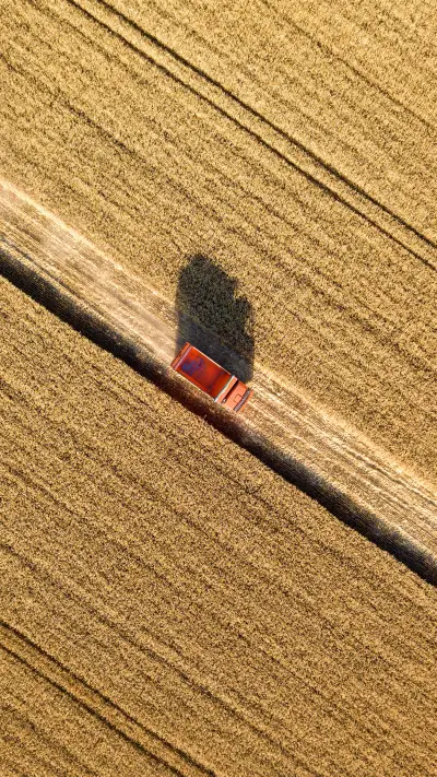 Truck with grain in a ripe wheat field in Ukraine - Screenshot 1