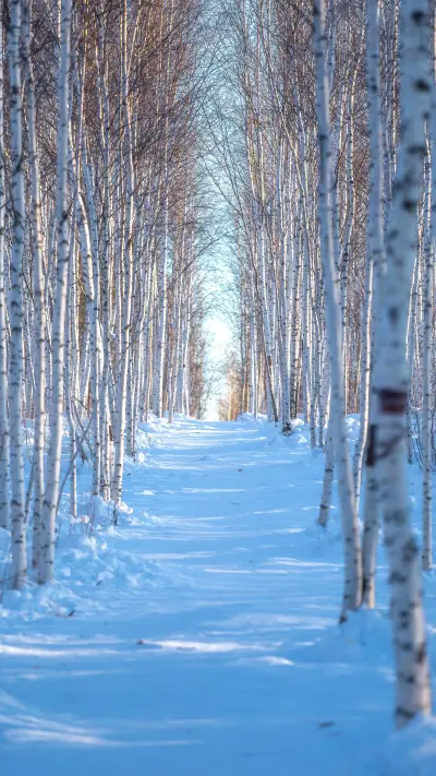 The earlie35 - Screenshot 1