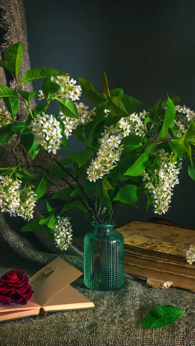 Healing wallpaper-12 - Screenshot 1