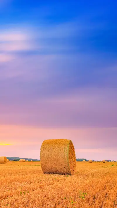 Straw bales with dramatic sky in Hungary