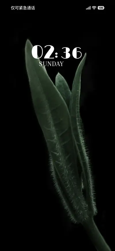 Shadow Leaf - Screenshot 1