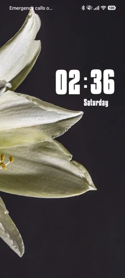 Mallika - Screenshot 1