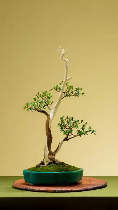 Unique Bonsai Design 49