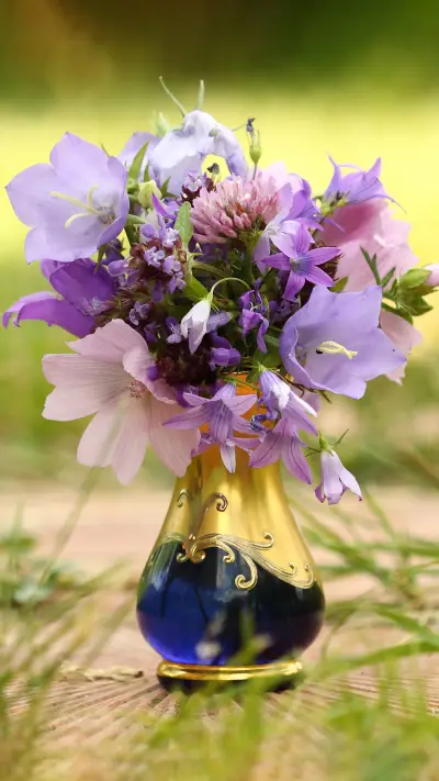 Recommended plants for autumn 21