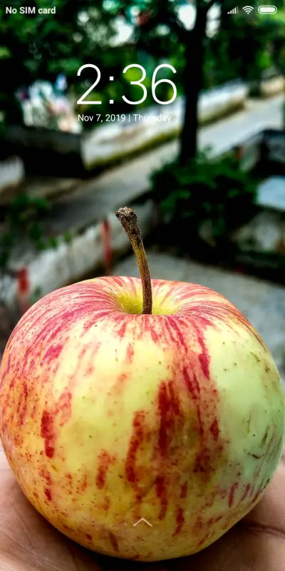 Apple_DWM3 - Screenshot 1