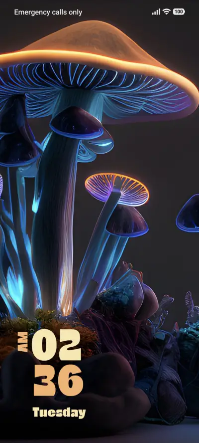 Fungi Dream