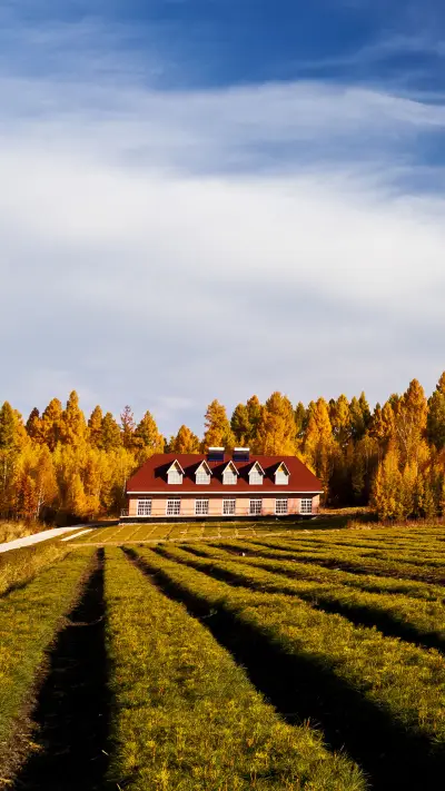 How to take great photos 62