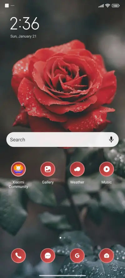 Rose Fogg - Screenshot 2