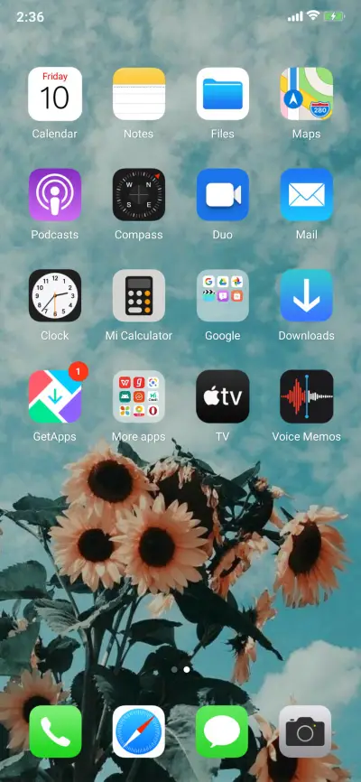 IOS 13 XSky - Screenshot 3