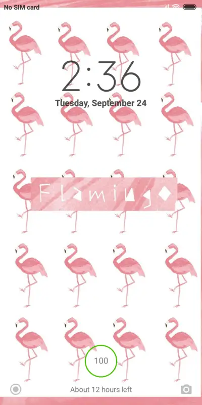 Official MIUI Theme_11 - Screenshot 1