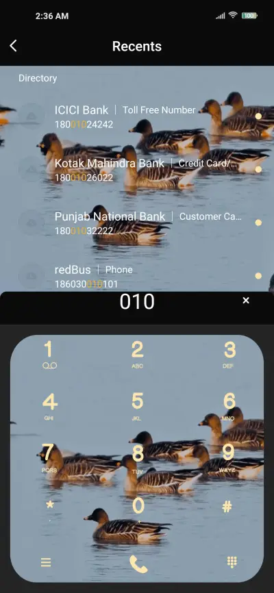 bird watching - Screenshot 6