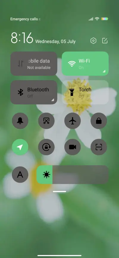 Green sunflower - Screenshot 5