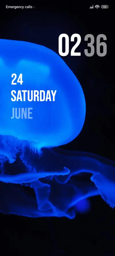 Jellyfish - Screenshot 1