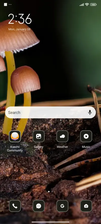 Mushroom - Screenshot 2