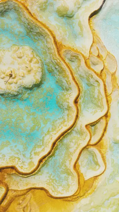 Recent Good Domestic Images 50