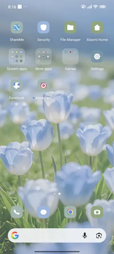 Flower Transparent - Screenshot 4