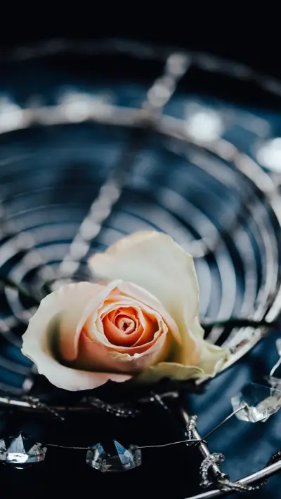 Tranquil rose fragrance