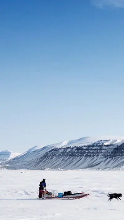 Winter scenery