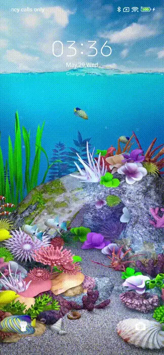 Coral Fish
