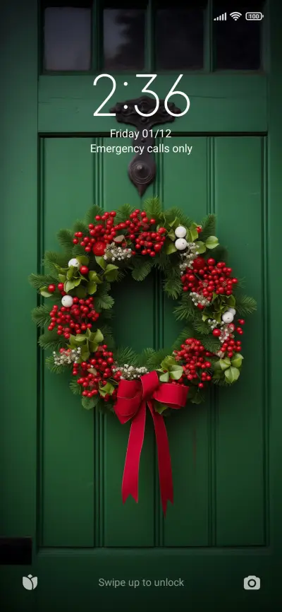 Homefor Christmas3