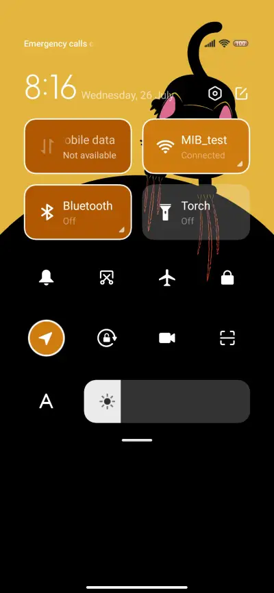 Angry Black Cat - Screenshot 5