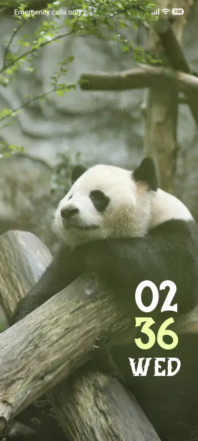 Log Lounge - Screenshot 1