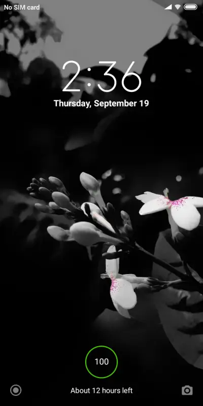 Low light _DWM2 - Screenshot 1