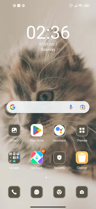 cat - Screenshot 2