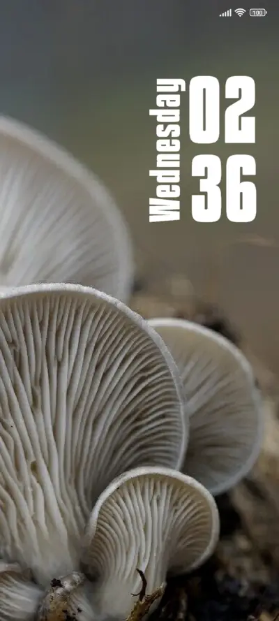 Mushroom