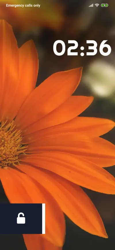 FLOWER_STIW_REGULAR - Screenshot 1