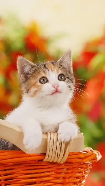 What the shit shoveling officer knows 39 - Screenshot 1