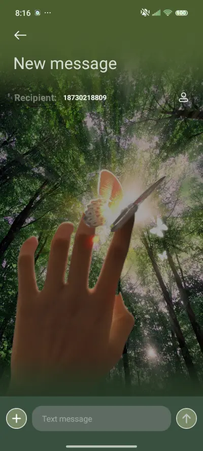 Exquisite Ding Dal - Screenshot 8